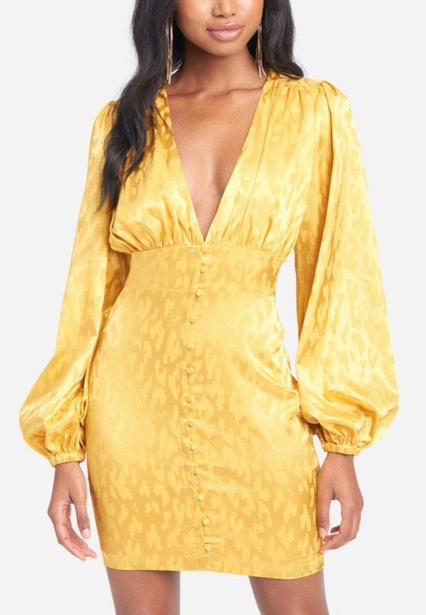 Deep v Neck Dress
