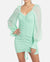 Ice Green Puff Sleeve Dress