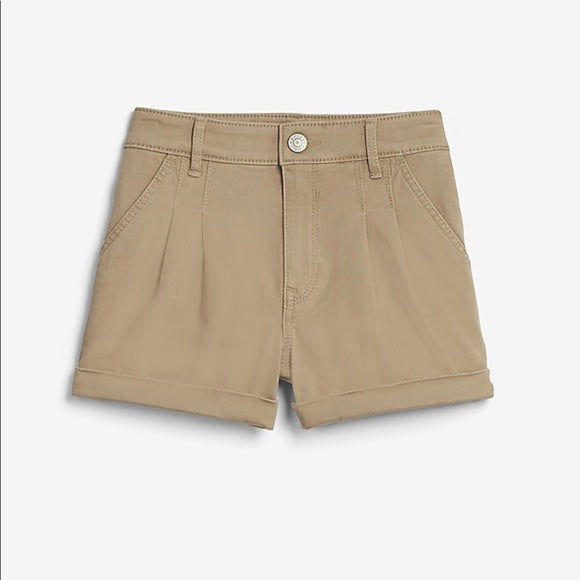 High Waisted Pleated Twill Shorts